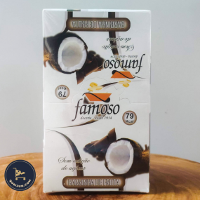 Barrinha de Fruta Famoso Coco com Cobertura de Chocolate - Zero Açúcar 525g