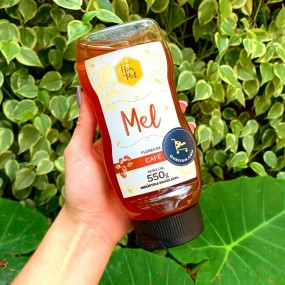 Mel Puro Flores de Café Apiário Flor de Mel - 550g