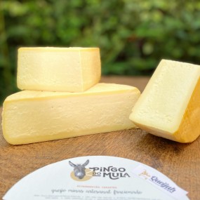 Queijo Canastra Pingo do Mula da manhã Extra Maturado 