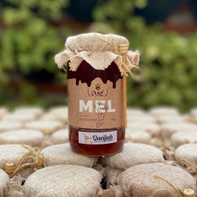 Mel Gourmet Iraê - Florada Silvestre - 450g