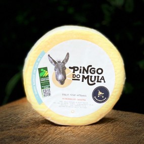Queijo Canastra Pingo do Mula Produção da tarde 