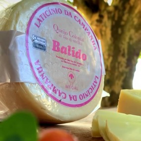 Queijo Balido Colonial de Leite de Ovelha - Fazenda Terroir da Vigia